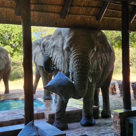 Twiga Lodge Mabalingwe Bela-Bela Eksteriør billede