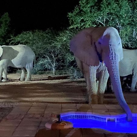 Twiga Lodge Mabalingwe Bela-Bela Eksteriør billede