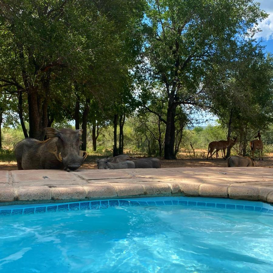 Twiga Lodge Mabalingwe Bela-Bela Eksteriør billede