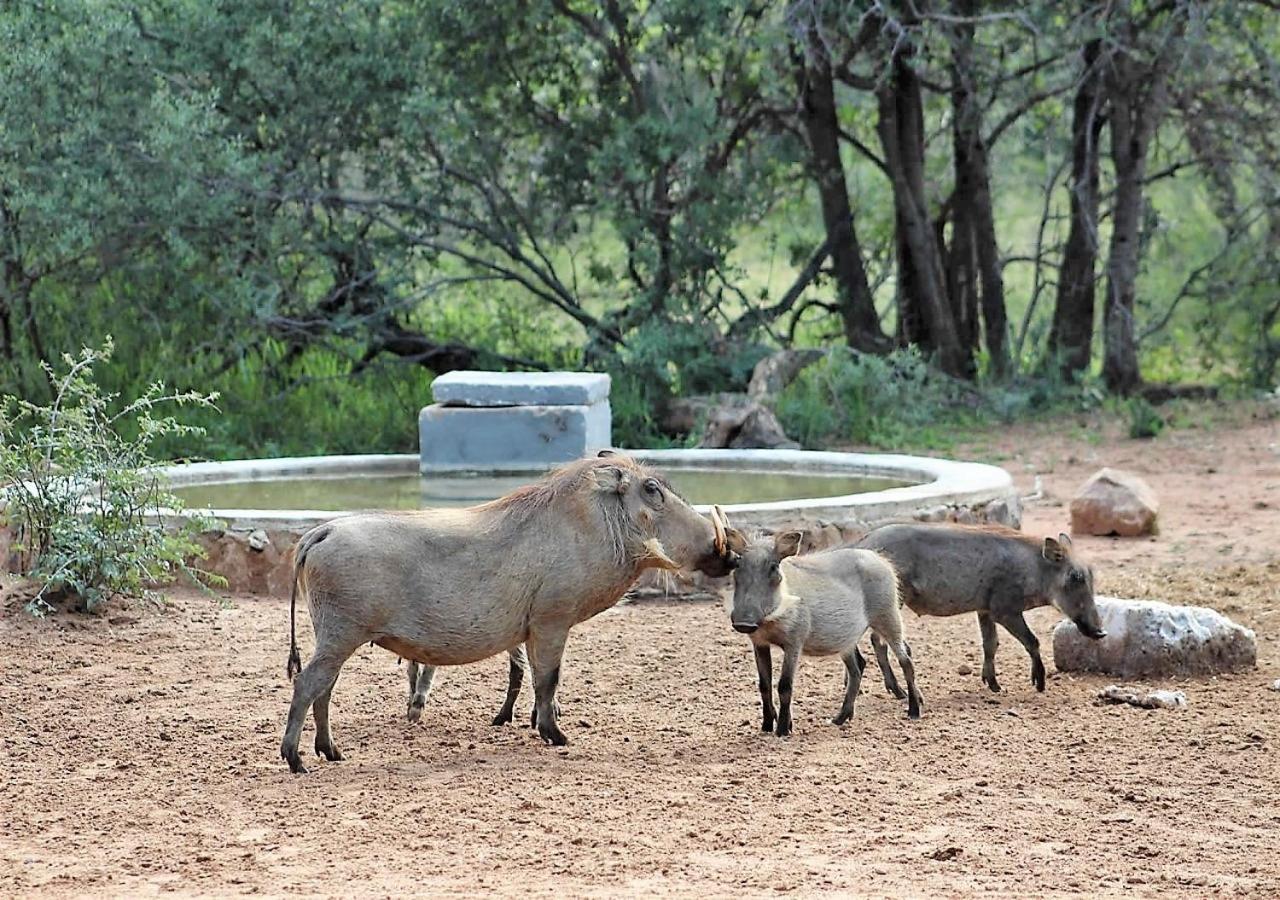 Twiga Lodge Mabalingwe Bela-Bela Eksteriør billede