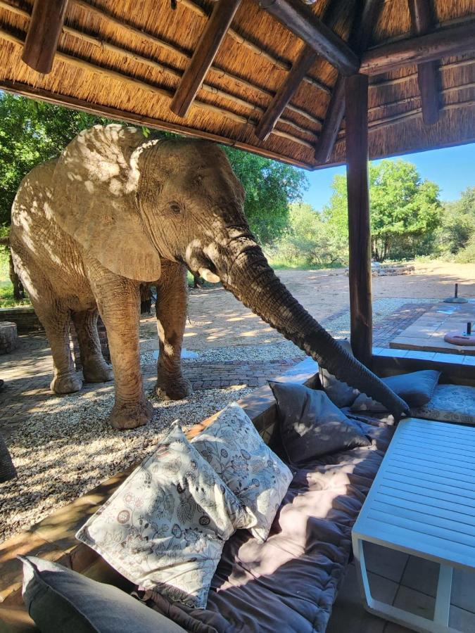 Twiga Lodge Mabalingwe Bela-Bela Eksteriør billede