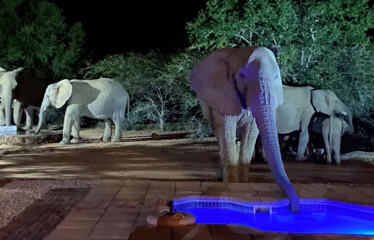 Twiga Lodge Mabalingwe Bela-Bela Eksteriør billede